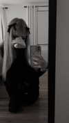 veildose Altpins Profile Picture