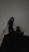 veildose Altpins Profile Picture