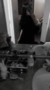 veildose Altpins Profile Picture