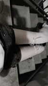 veildose Altpins Profile Picture