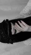 veildose Altpins Profile Picture