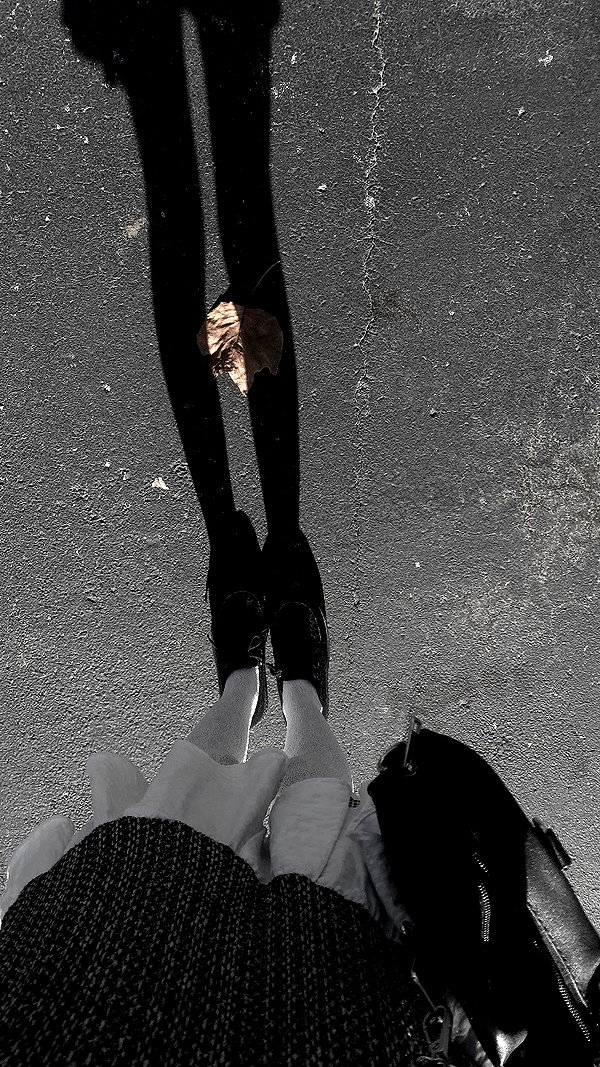 veildose veildose archive image