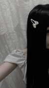 veildose Altpins Profile Picture