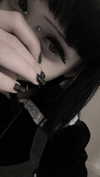 veildose Altpins Profile Picture