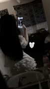 veildose Altpins Profile Picture