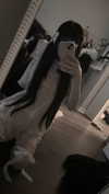 veildose Altpins Profile Picture