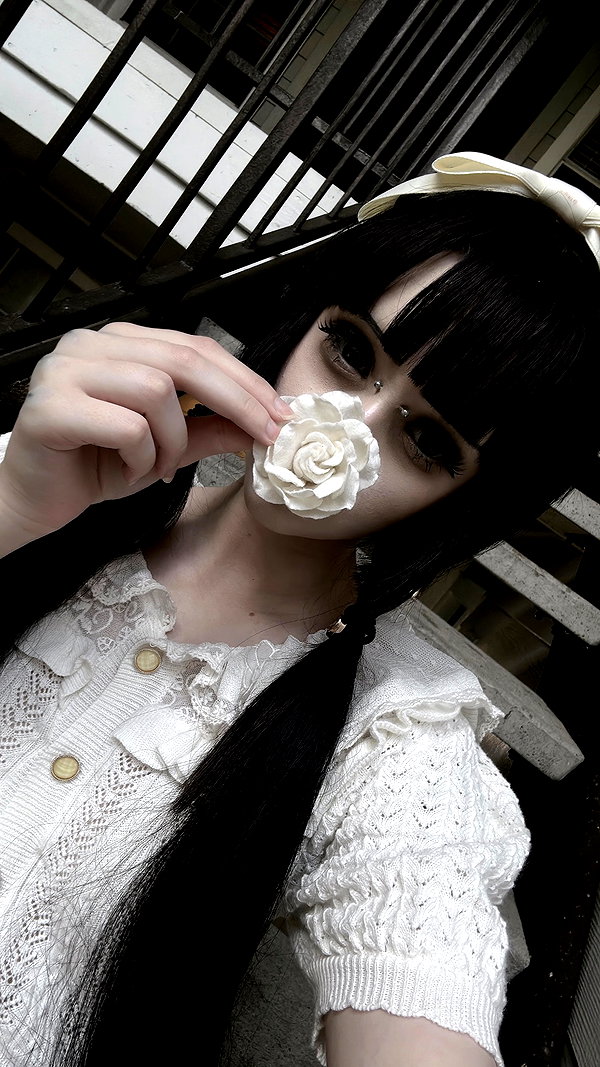 veildose instagram image archive image
