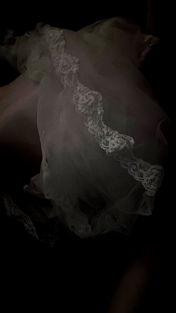veildose instagram image archive image