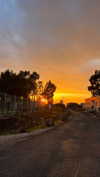 veronika_grish Altpins Profile Picture