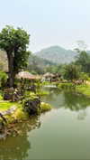 veronika_grish Altpins Profile Picture