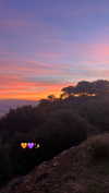 veronika_grish Altpins Profile Picture