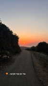 veronika_grish Altpins Profile Picture