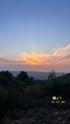 veronika_grish Altpins Profile Picture