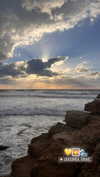 veronika_grish Altpins Profile Picture