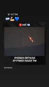 veronika_grish Altpins Profile Picture