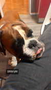 veronika_grish Altpins Profile Picture