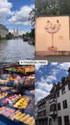 veronika_grish Altpins Profile Picture