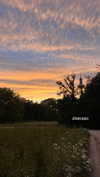 veronika_grish Altpins Profile Picture