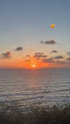 veronika_grish Altpins Profile Picture