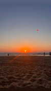 veronika_grish Altpins Profile Picture