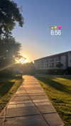 veronika_grish Altpins Profile Picture