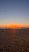 veronika_grish Altpins Profile Picture