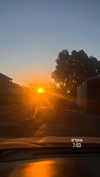 veronika_grish Altpins Profile Picture