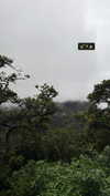veronika_grish Altpins Profile Picture