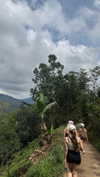 veronika_grish Altpins Profile Picture