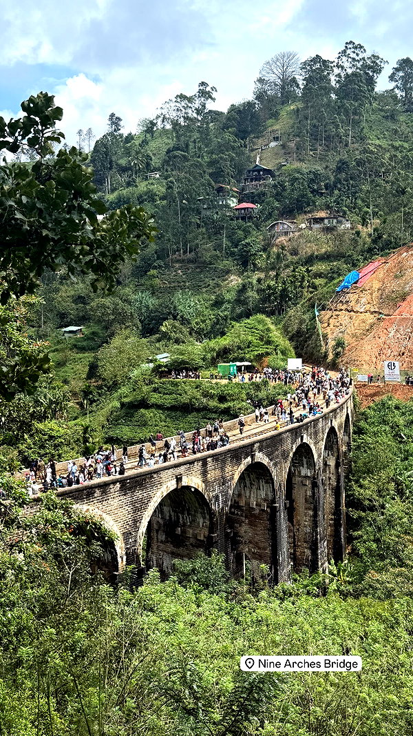 veronika_grish veronika_grish archive image