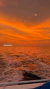 veronika_grish Altpins Profile Picture