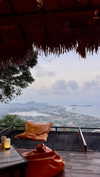 veronika_grish Altpins Profile Picture