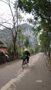 veronika_grish Altpins Profile Picture