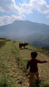 veronika_grish Altpins Profile Picture