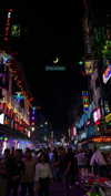 veronika_grish Altpins Profile Picture