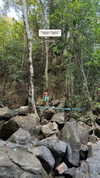 veronika_grish Altpins Profile Picture