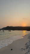 veronika_grish Altpins Profile Picture