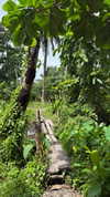 veronika_grish Altpins Profile Picture