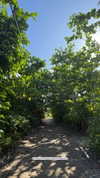 veronika_grish Altpins Profile Picture