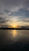 veronika_grish Altpins Profile Picture