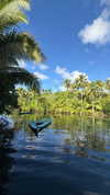 veronika_grish Altpins Profile Picture
