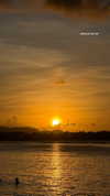 veronika_grish Altpins Profile Picture