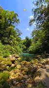 veronika_grish Altpins Profile Picture