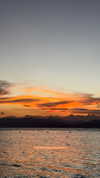 veronika_grish Altpins Profile Picture