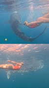 veronika_grish Altpins Profile Picture