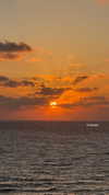 veronika_grish Altpins Profile Picture