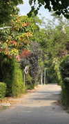veronika_grish Altpins Profile Picture