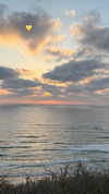 veronika_grish Altpins Profile Picture