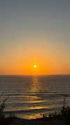 veronika_grish Altpins Profile Picture