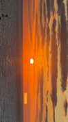 veronika_grish Altpins Profile Picture